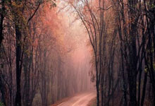 霍伊伦谈模仿C罗庆祝：无意冒犯他，09年起我就是他的忠实球迷.