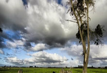 高尔夫亚巡赛国际系列赛澳门站收官.