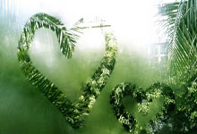 星空体育：首位女性主席！80后柯丝蒂·考文垂当选国际奥委会新一任主席.