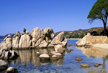 星空体育：费城76人遭淘汰！独行侠或成太阳队噩梦？.